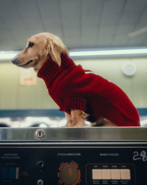 KNIT DOG SWEATER